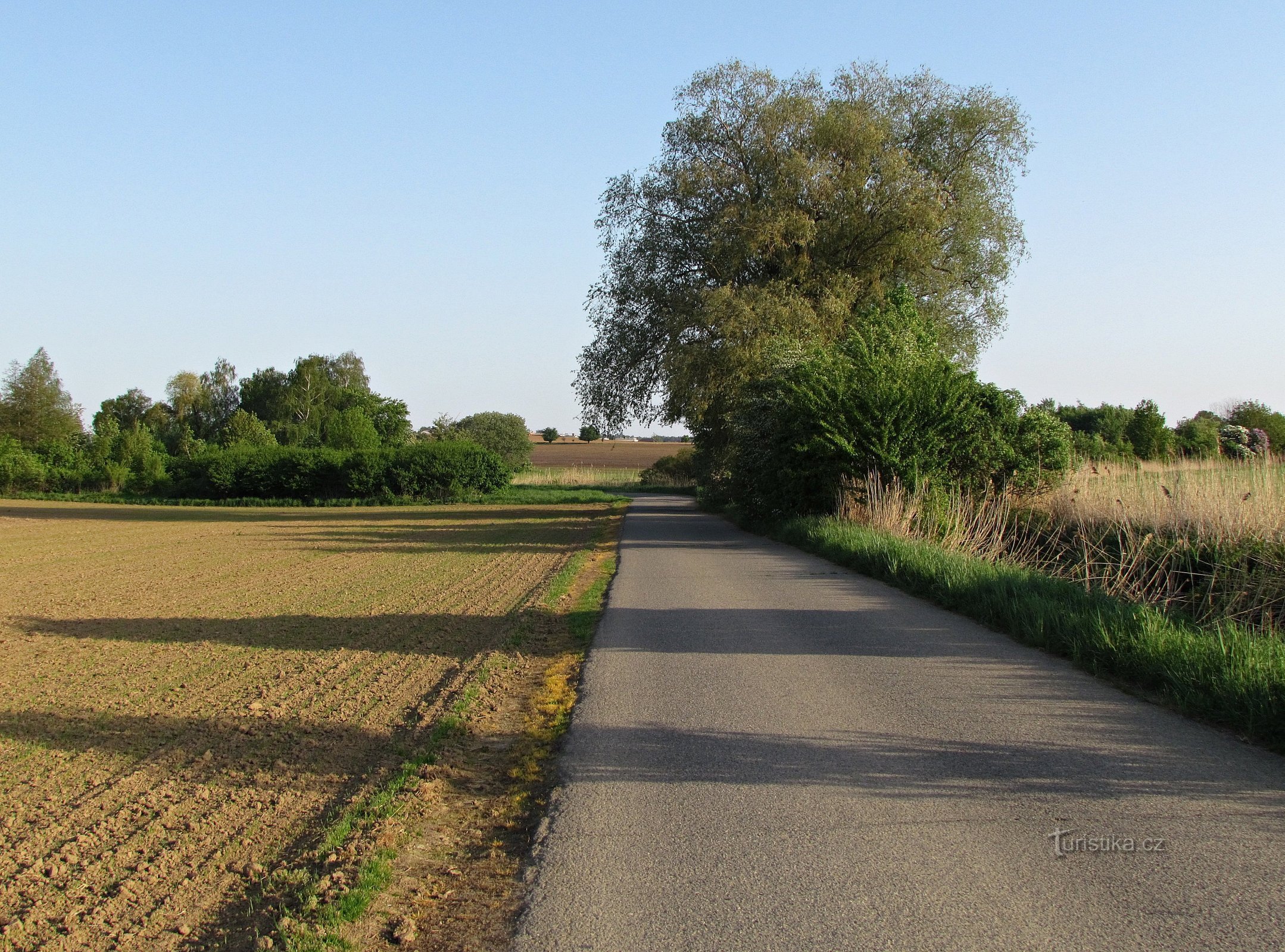 strada per lo stagno