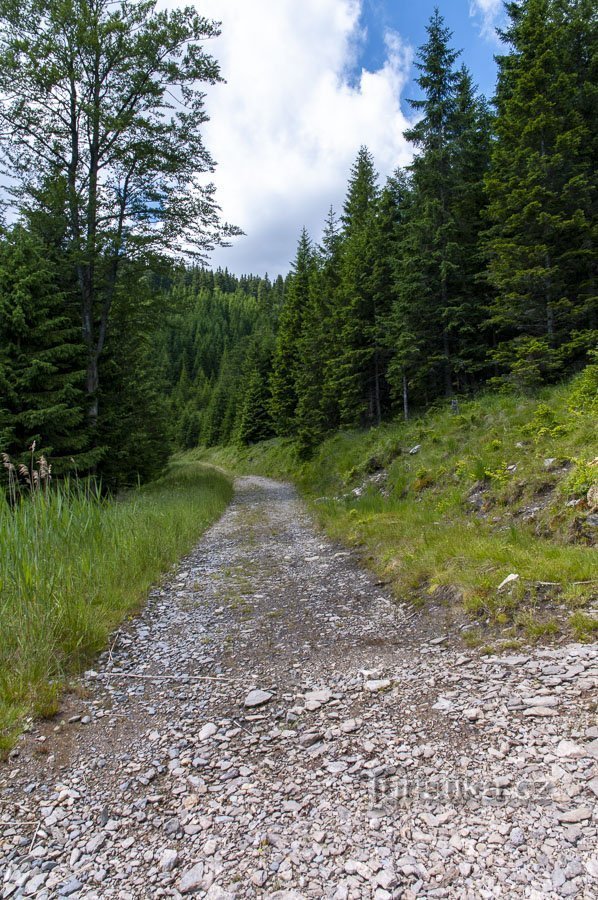 Camino de Silón