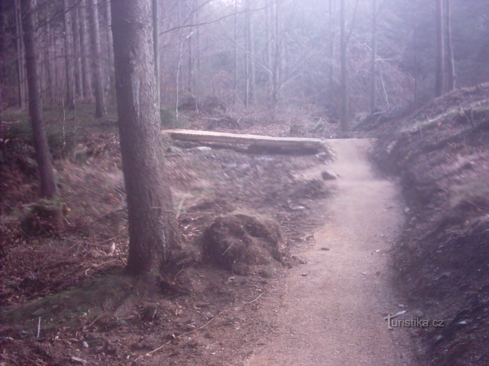 singletrack con un puente