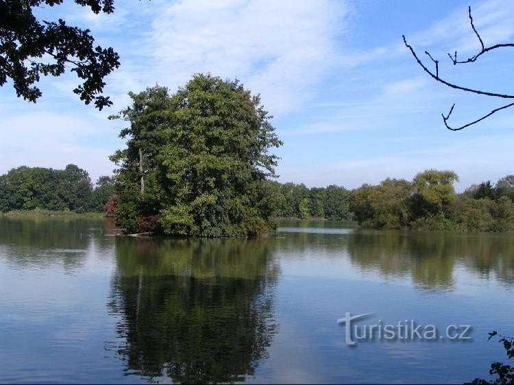 Reticulated pond