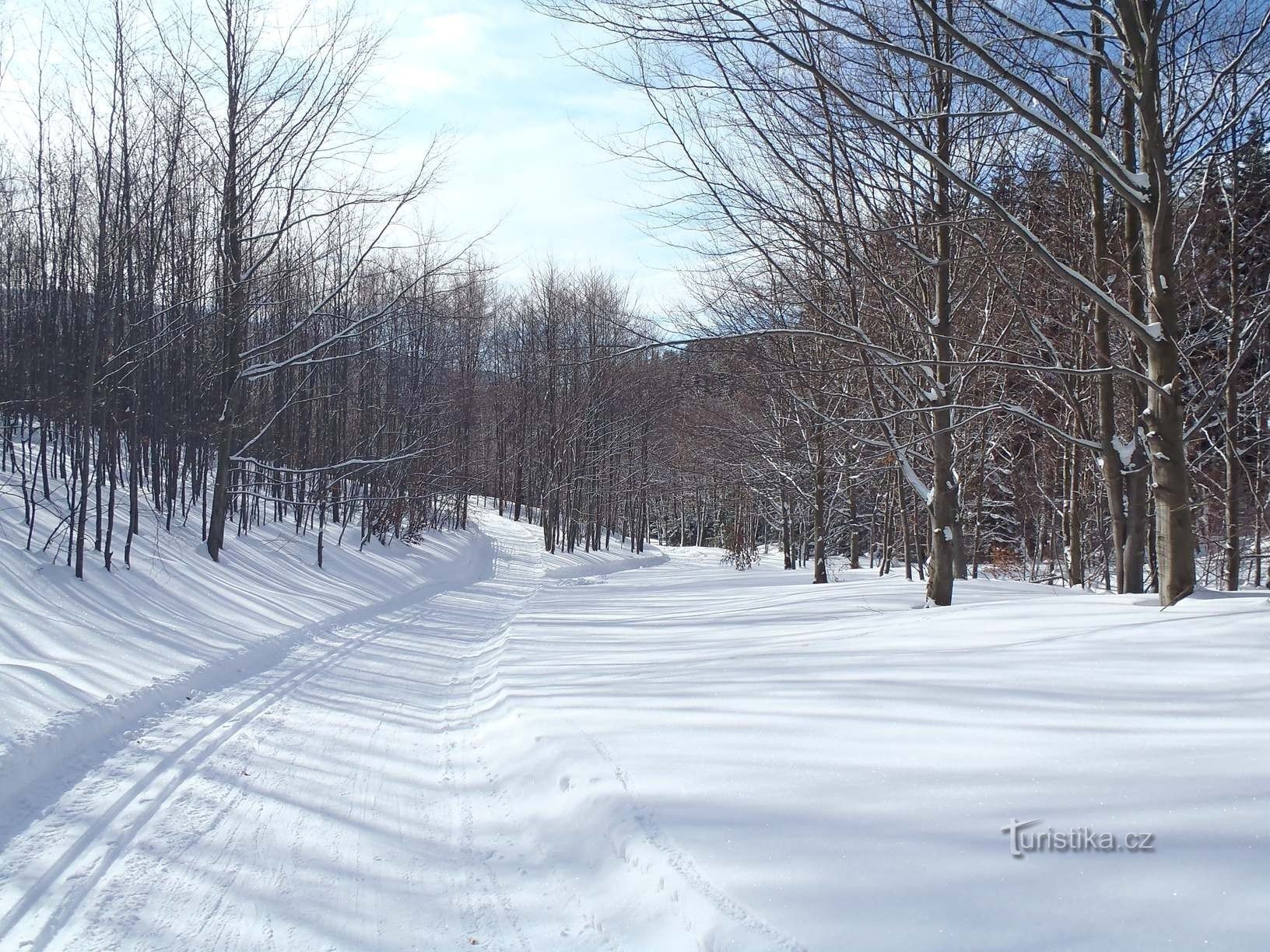 Sortie au virage vers la route - 21.2.2012