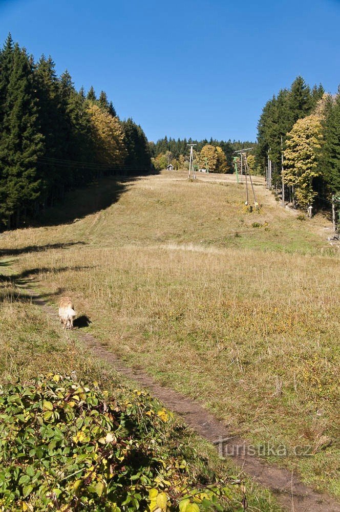 Piste de ski Návrší