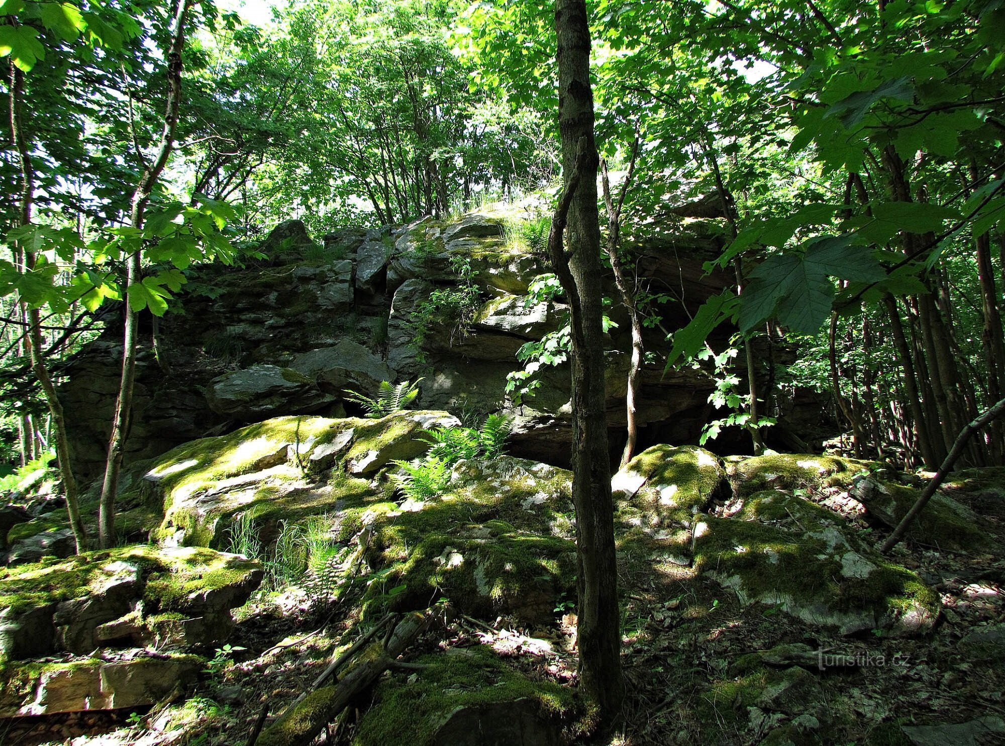 Rock at Malé Sýkoř