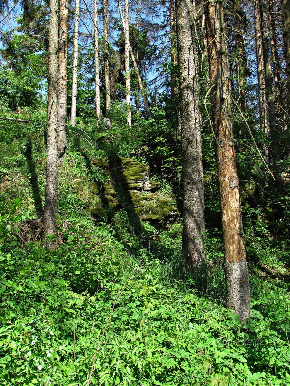 sten under landsbyen