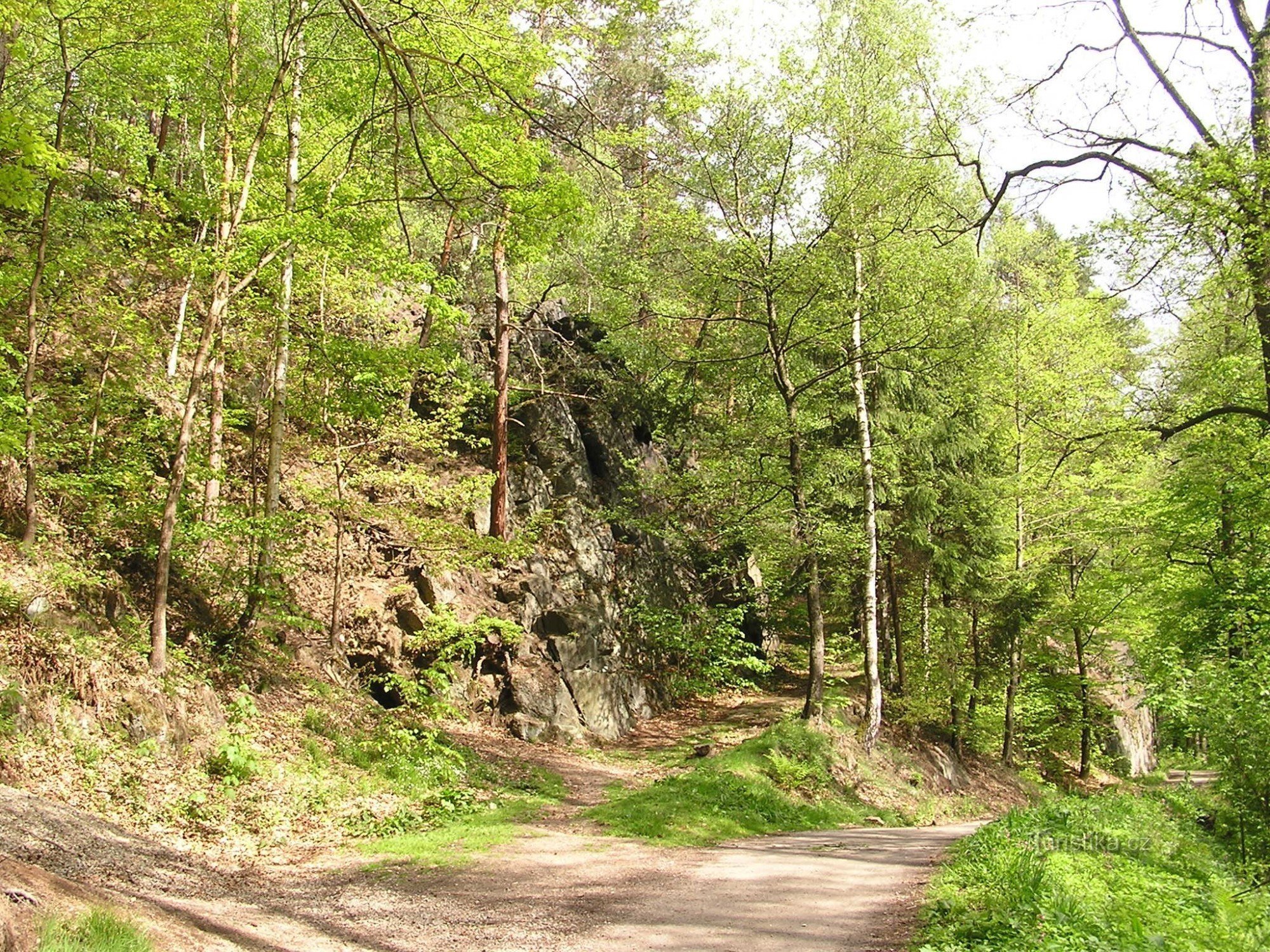 Rocher avec tunnels - 16.5.2004