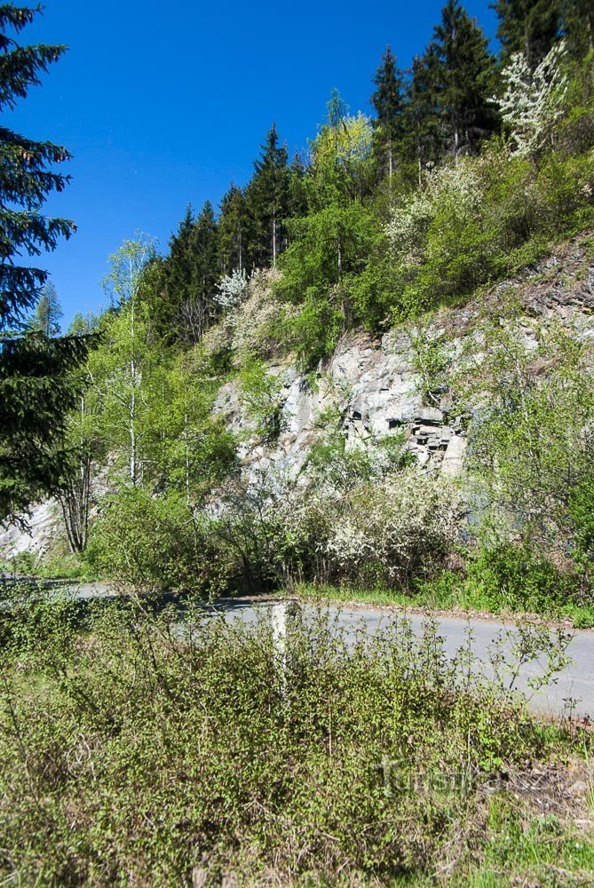 Een rots aan de noordkant van de dijk