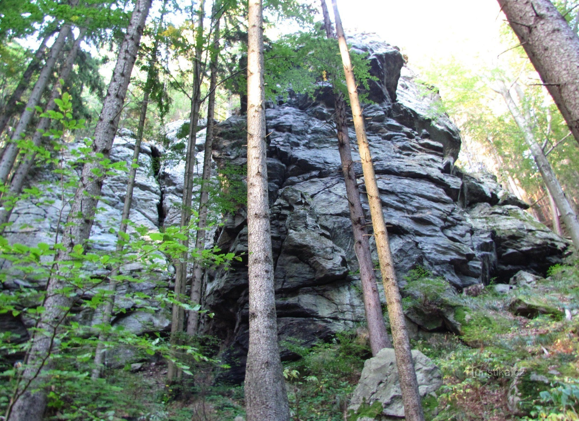 Aussichtsfelsen