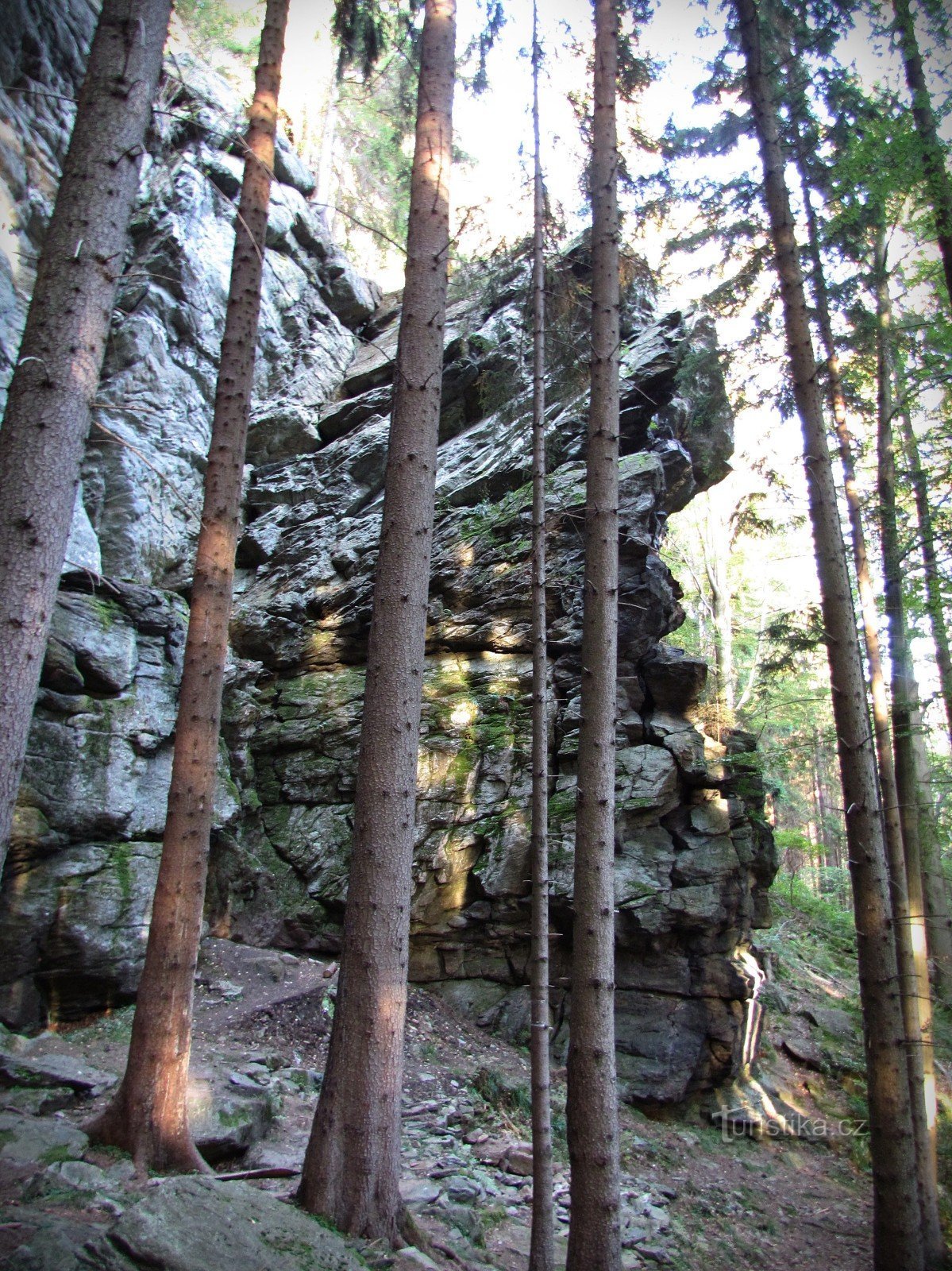 Rock Lookout