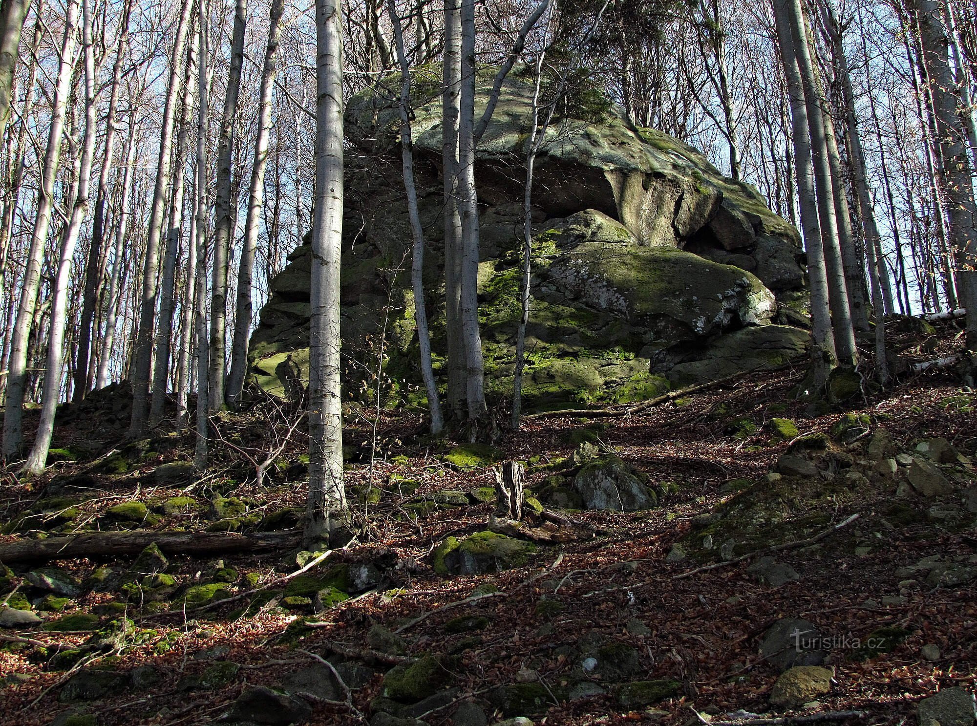 Froschfelsen