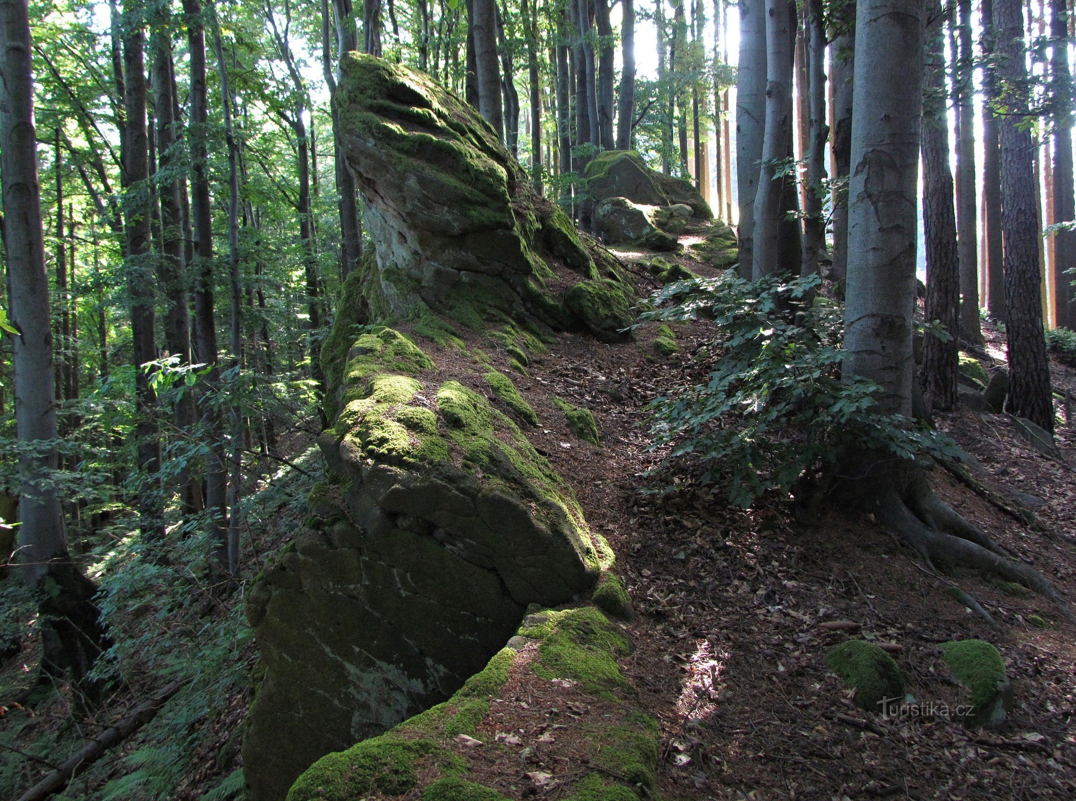 Skála Žaba nad Růždkou