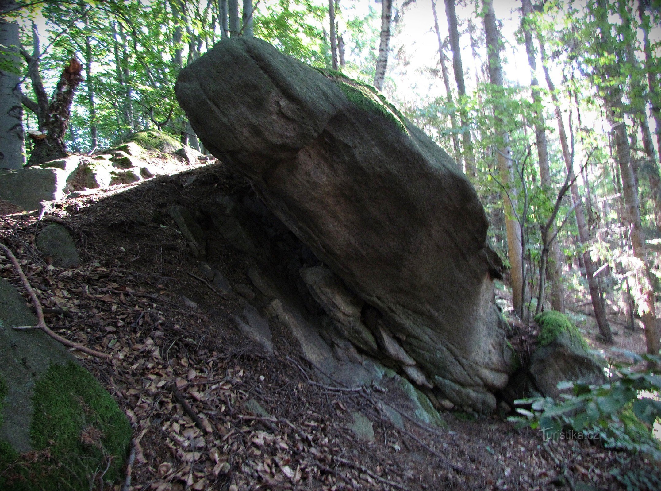 Skála Žaba nad Růždkou