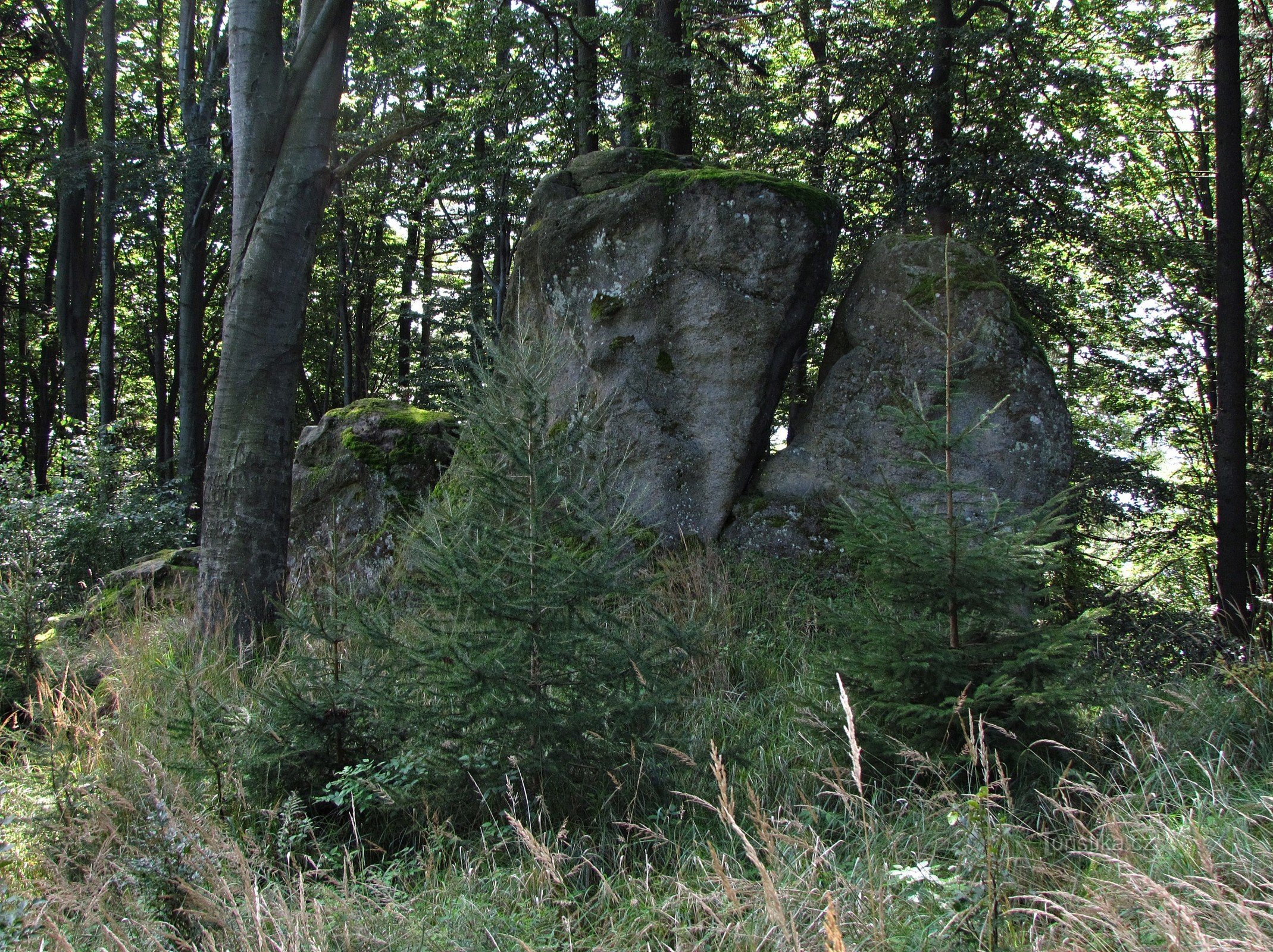 Skalica sulle colline di Vizowické