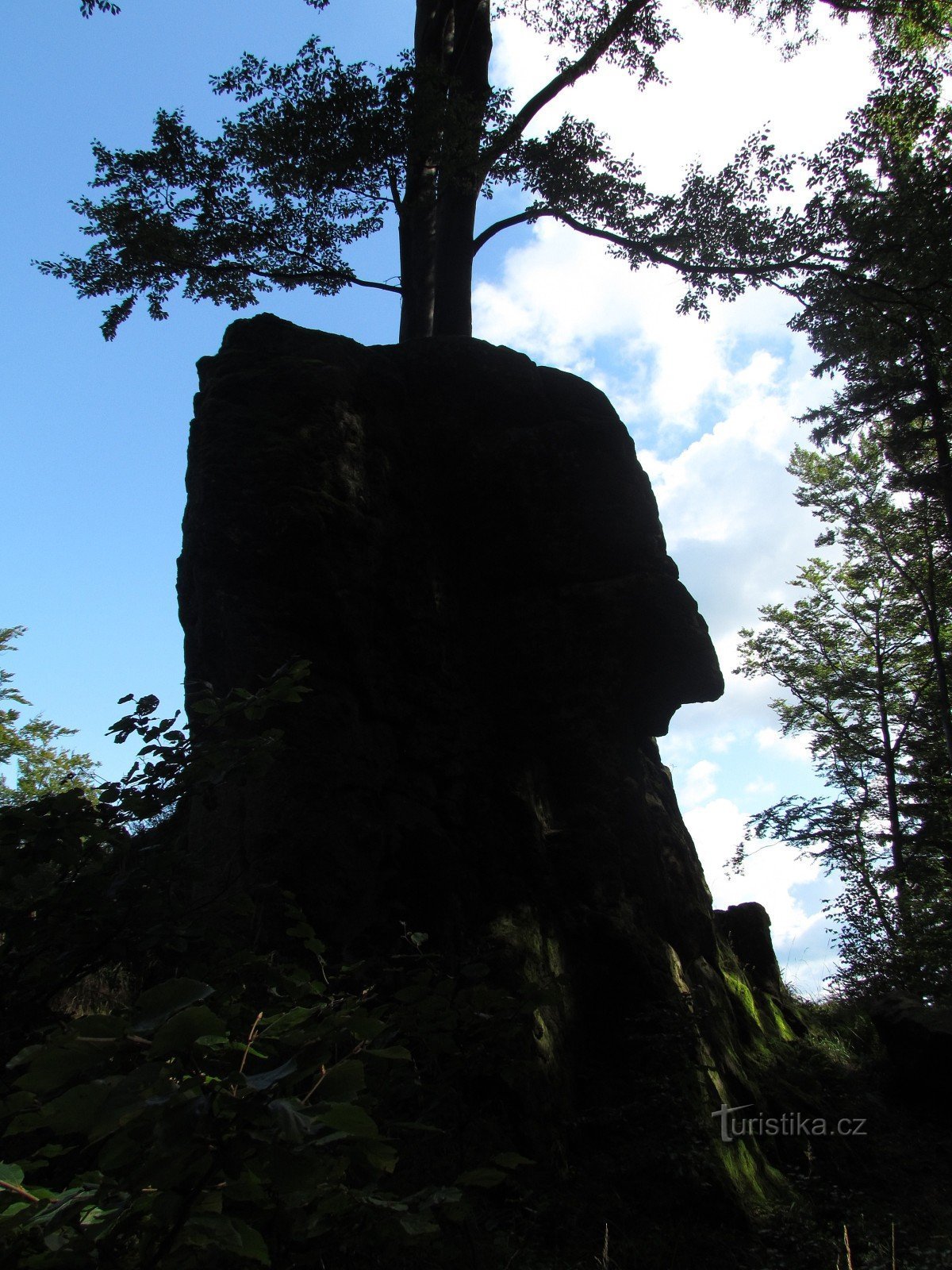 Скалица на Визовицких холмах