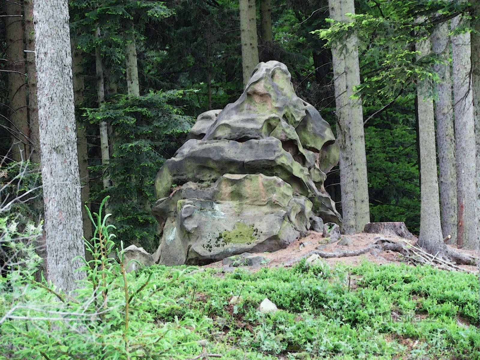 сад камней Чернкнежник