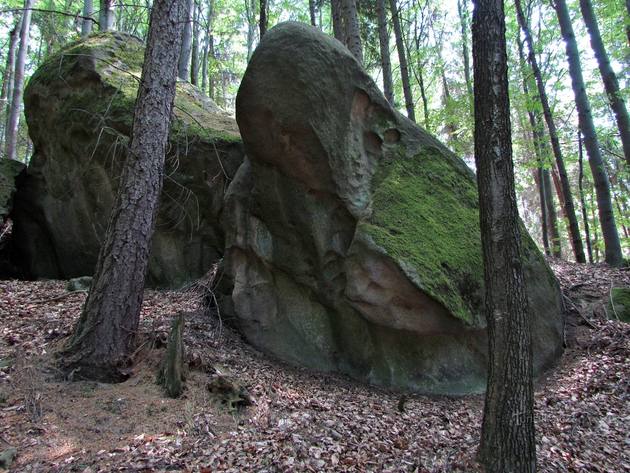 Rock garden Kapucín pod Kuželek