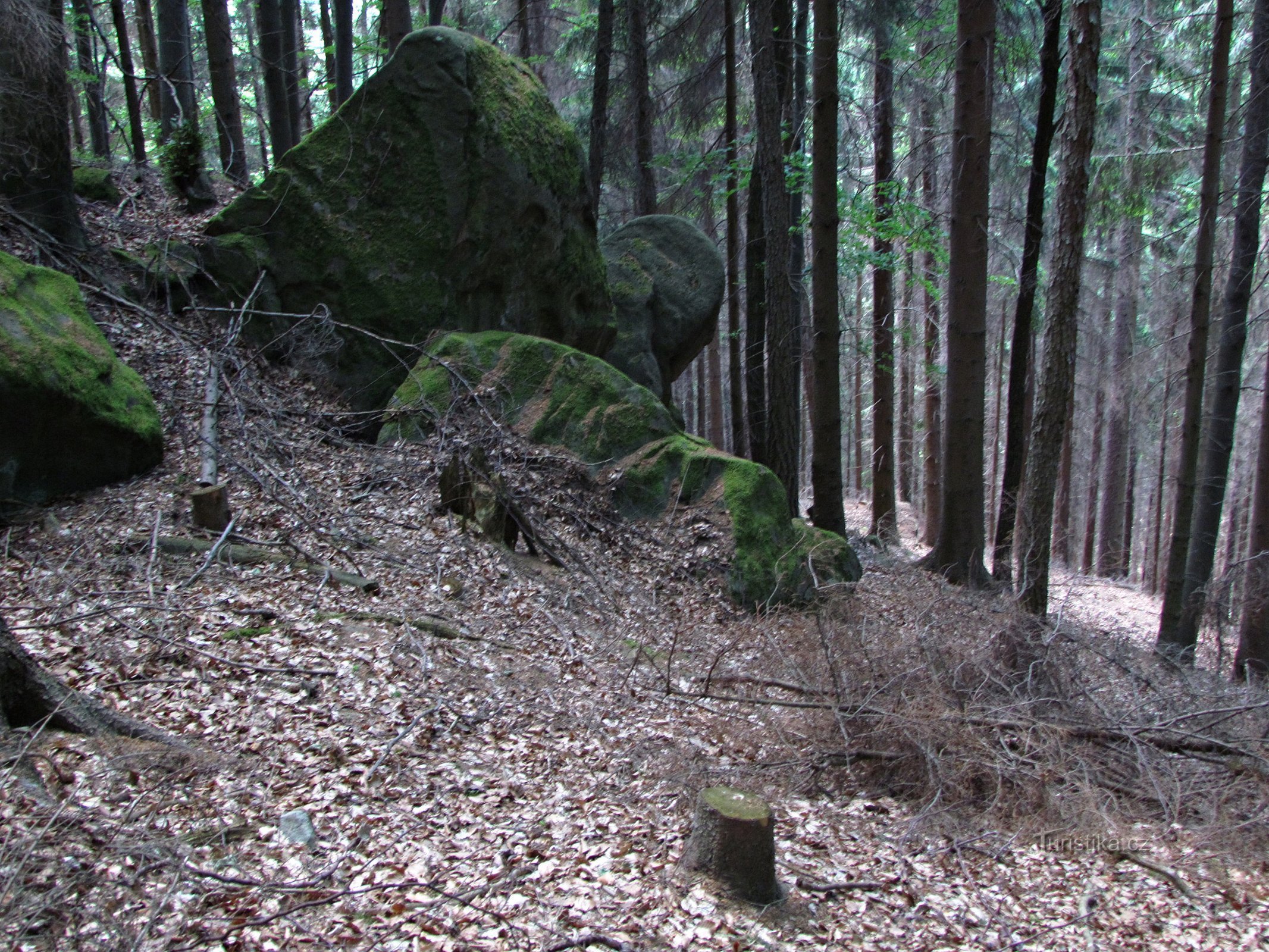 岩石花园 Kapucín pod Kuželek