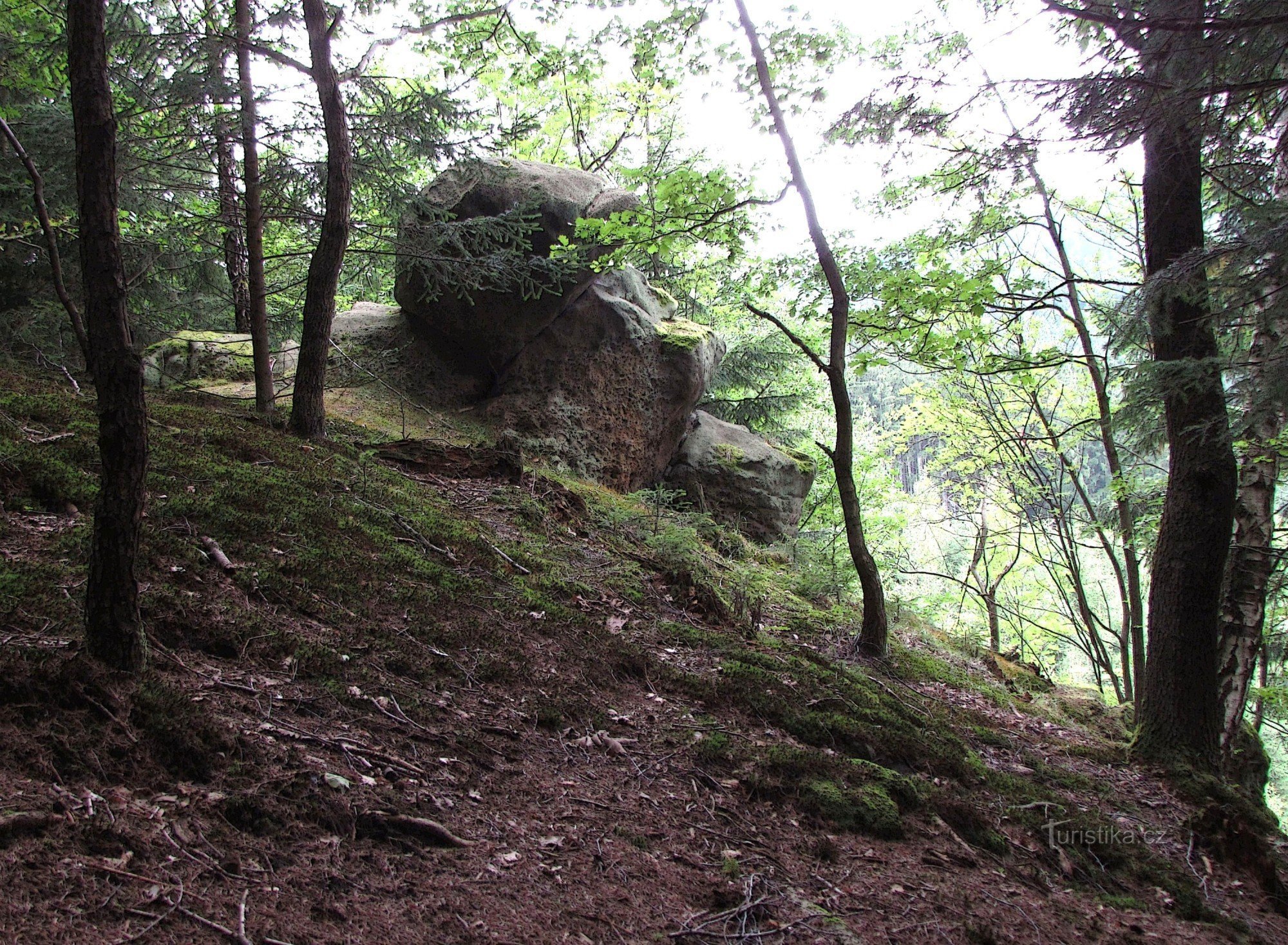 giardino roccioso sul pendio Růzová