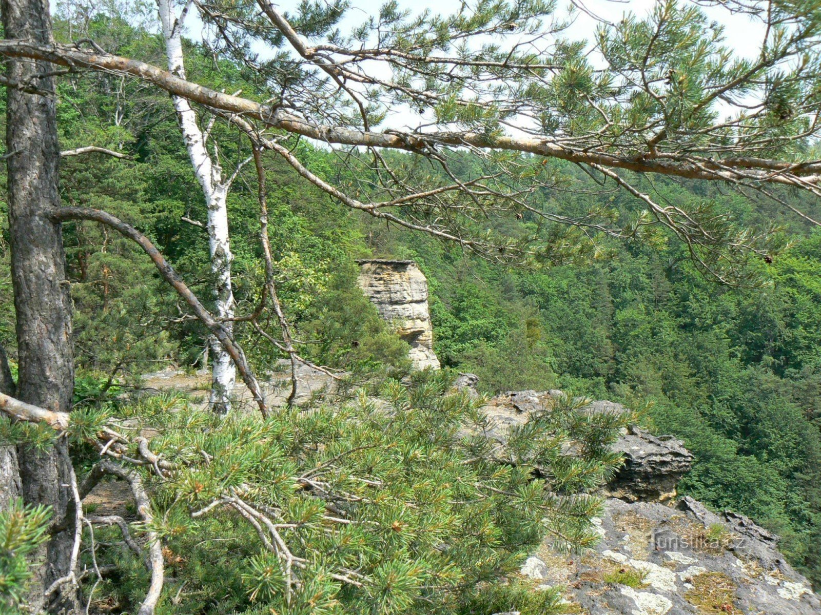 Felsen