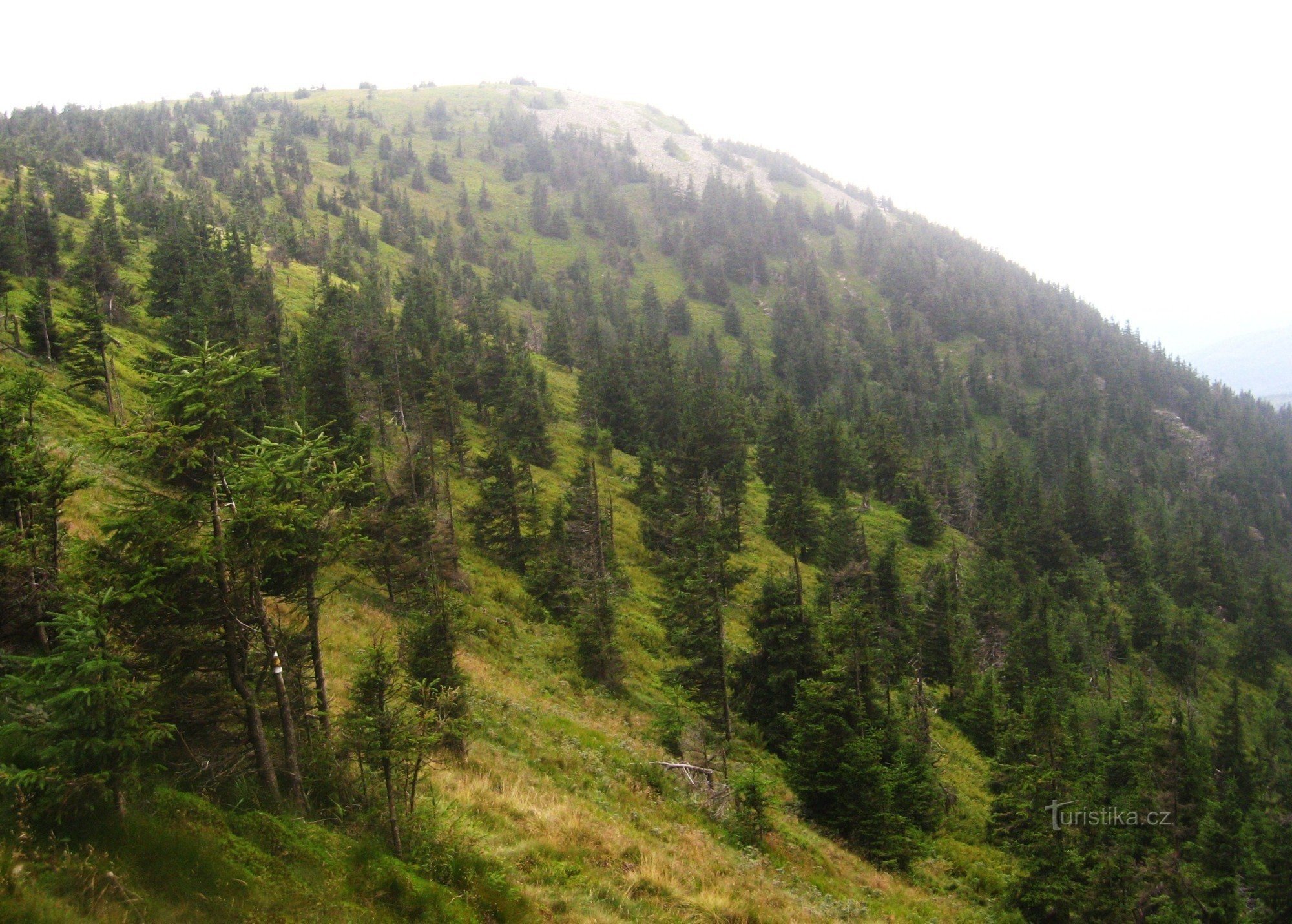 Felsen auf Břidličná hora