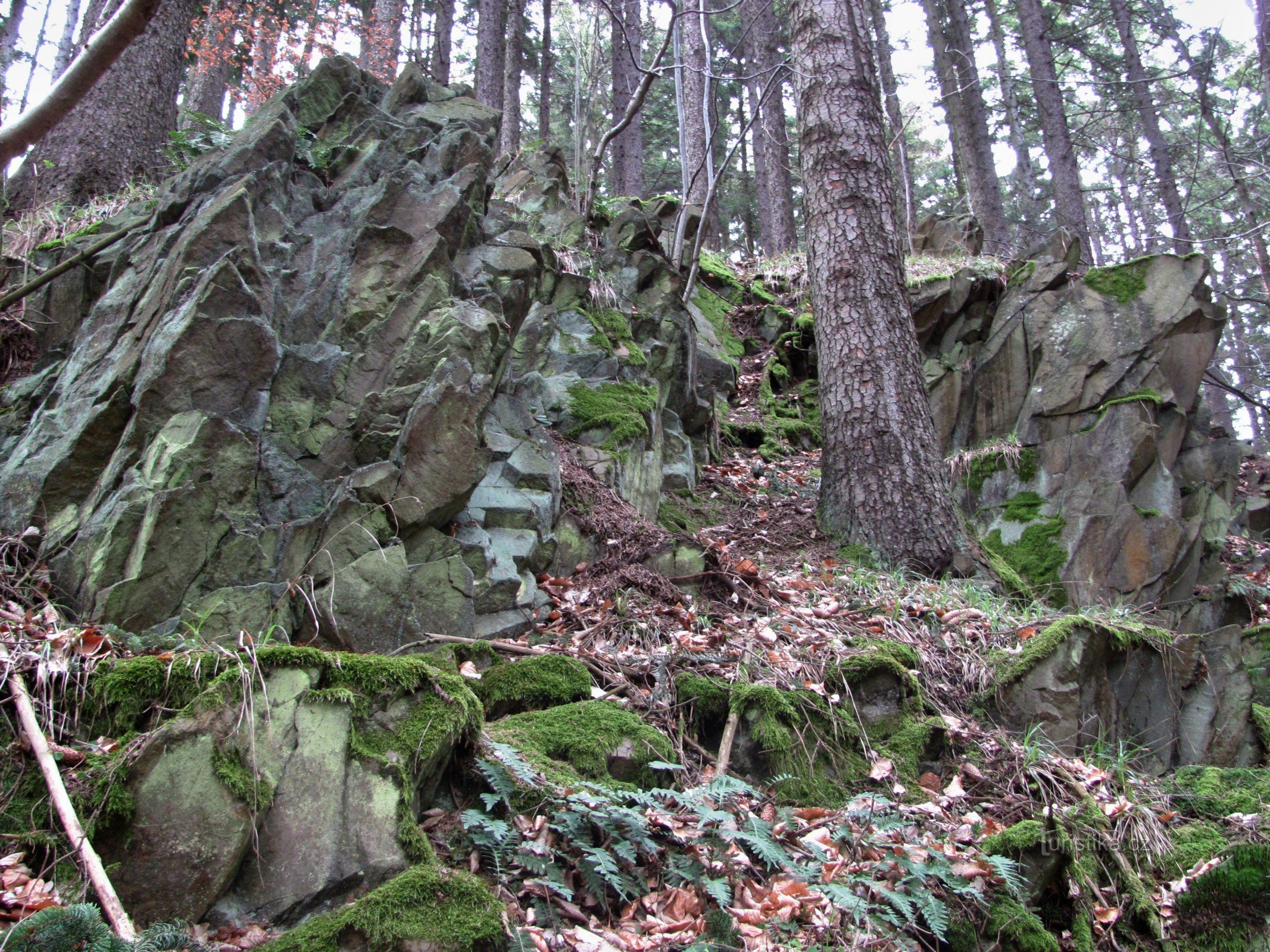 skalnjak na desnem bregu potoka Okrouhlé