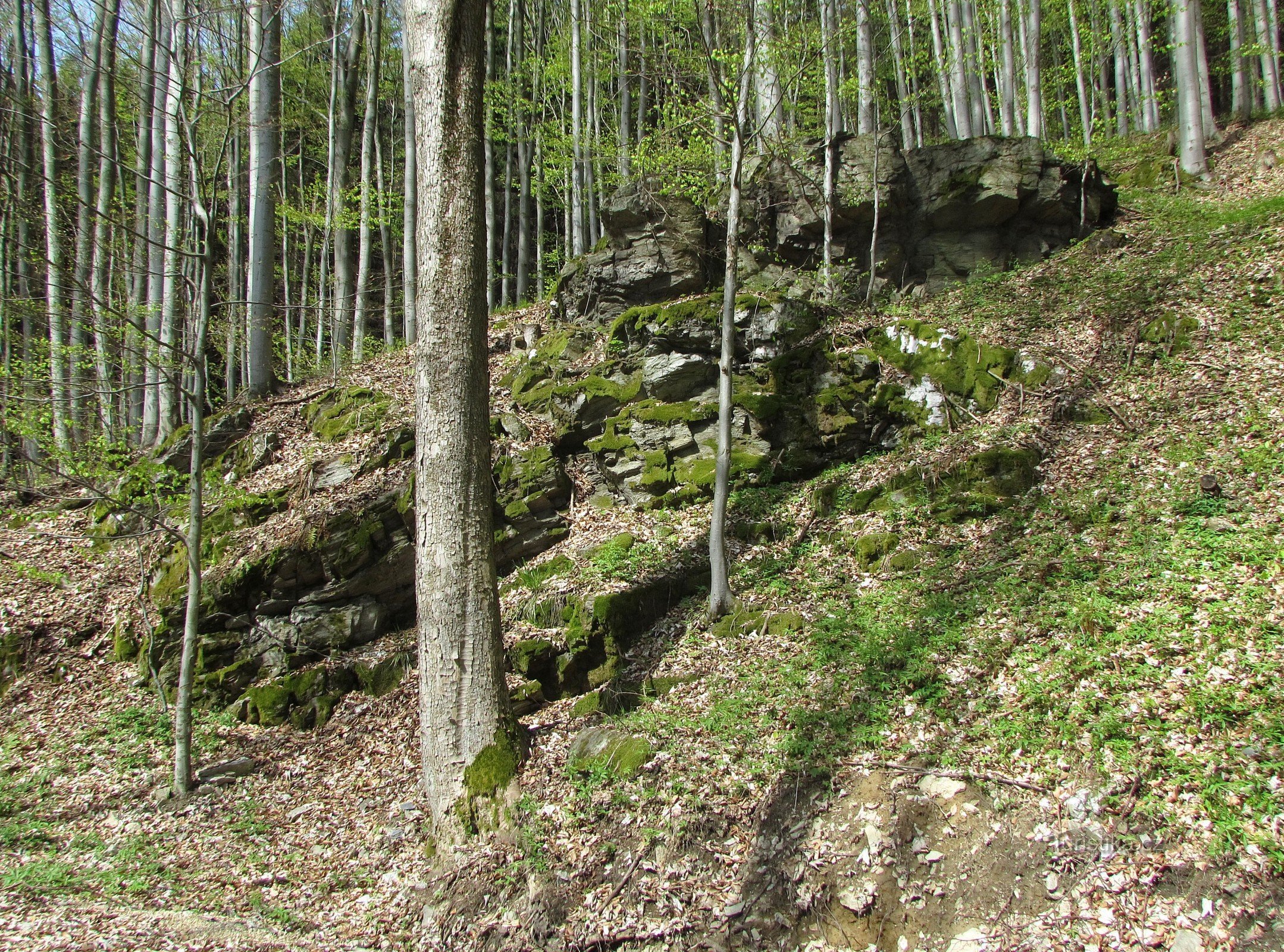 rochers au-dessus de la route