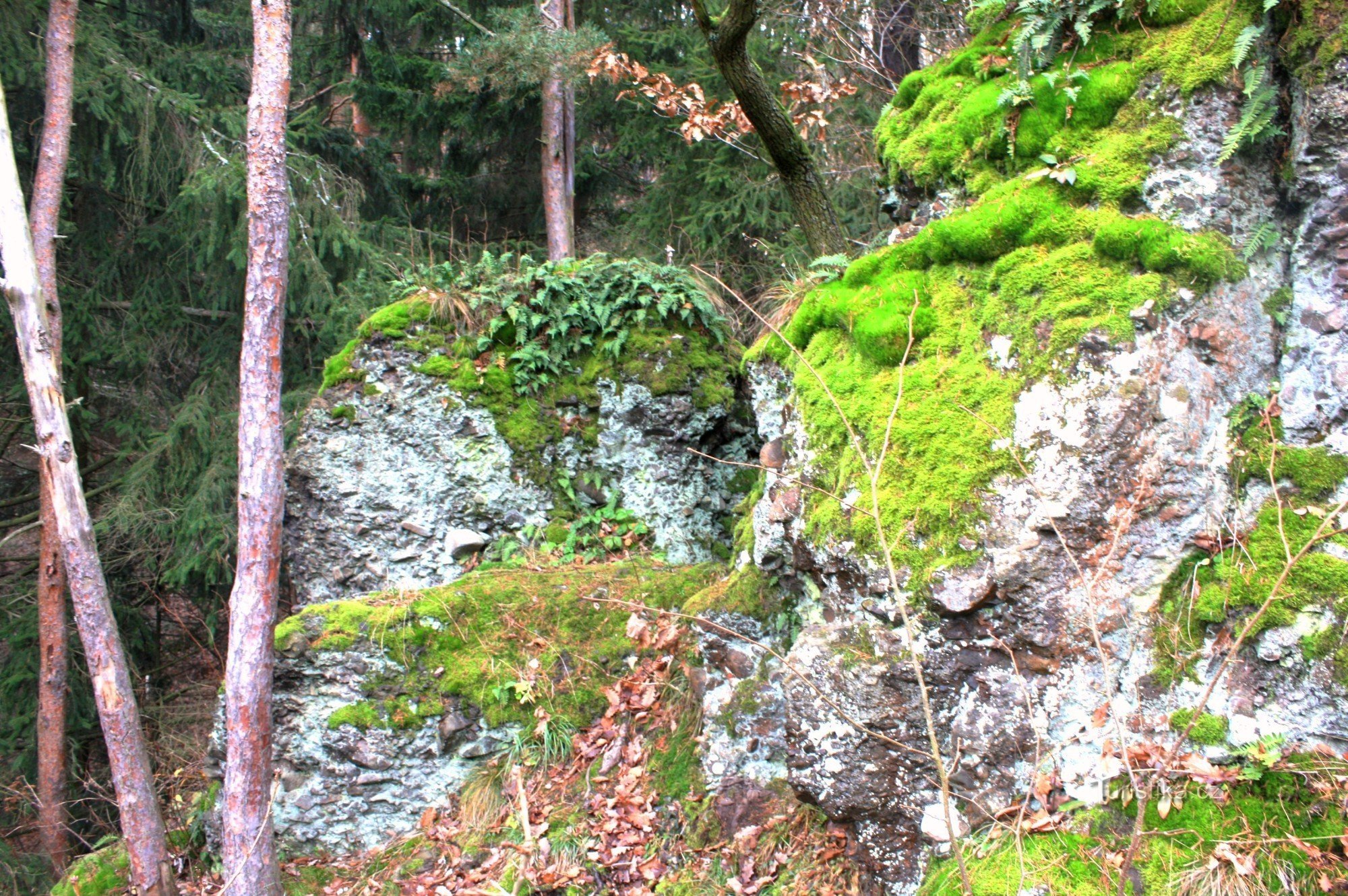 Skalky oberhalb von Krkata bába