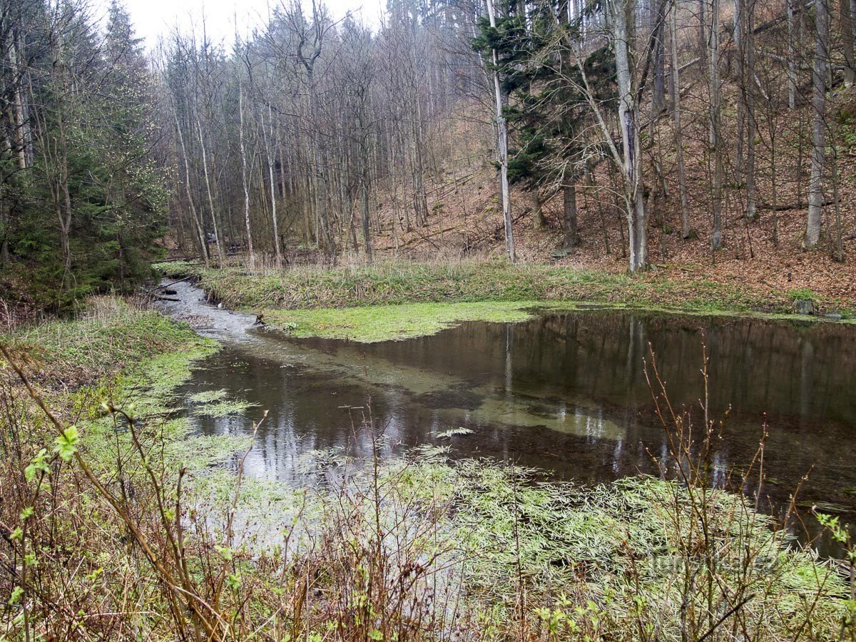 Rocks under Jestřábí