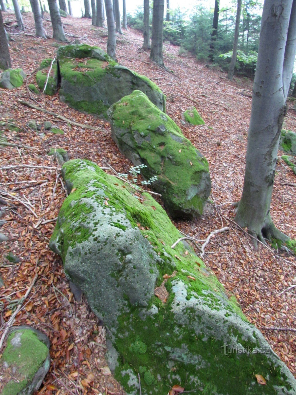 Rocas debajo de Okluk