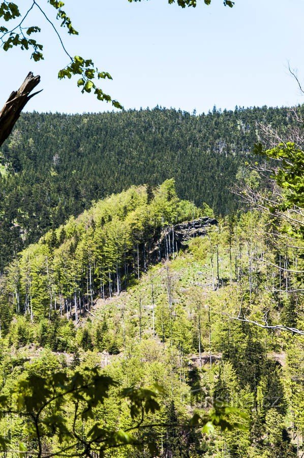 Stijene kod Červenohorskog sedla