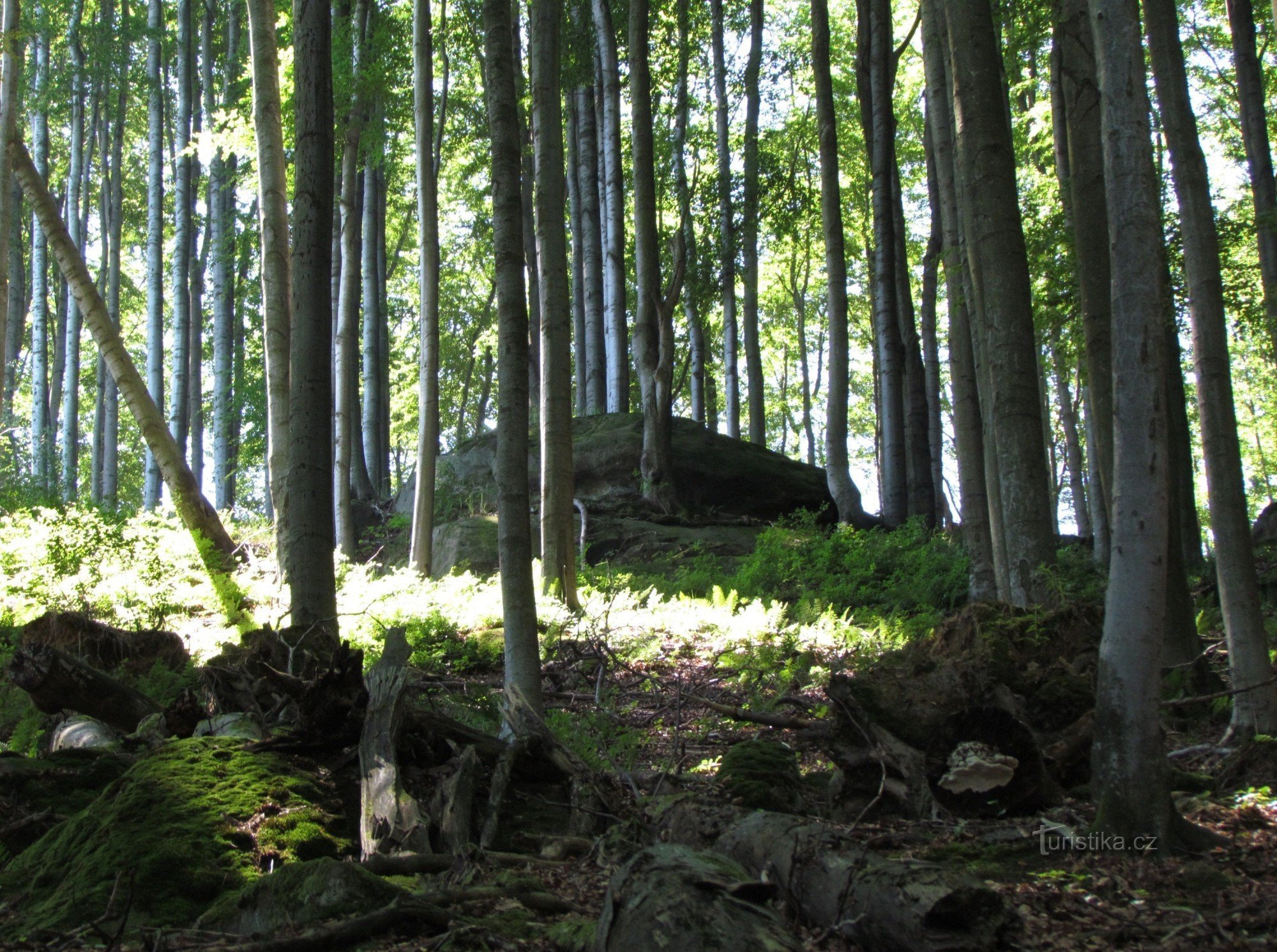 Felsen in der Nähe von Havránka