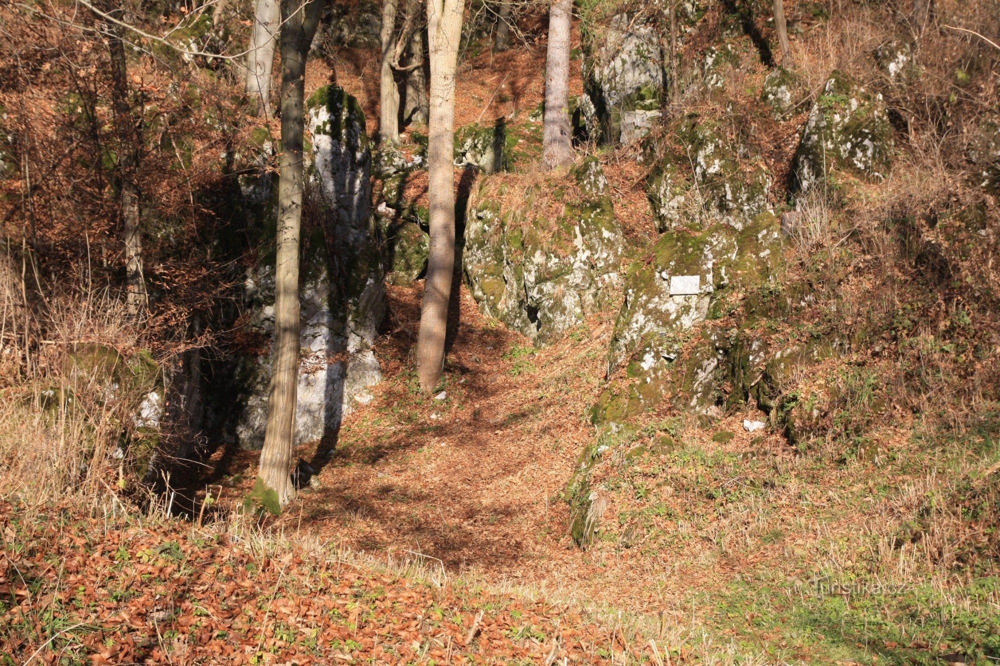 A rocky sinkhole, the site of the original entrance to the cave