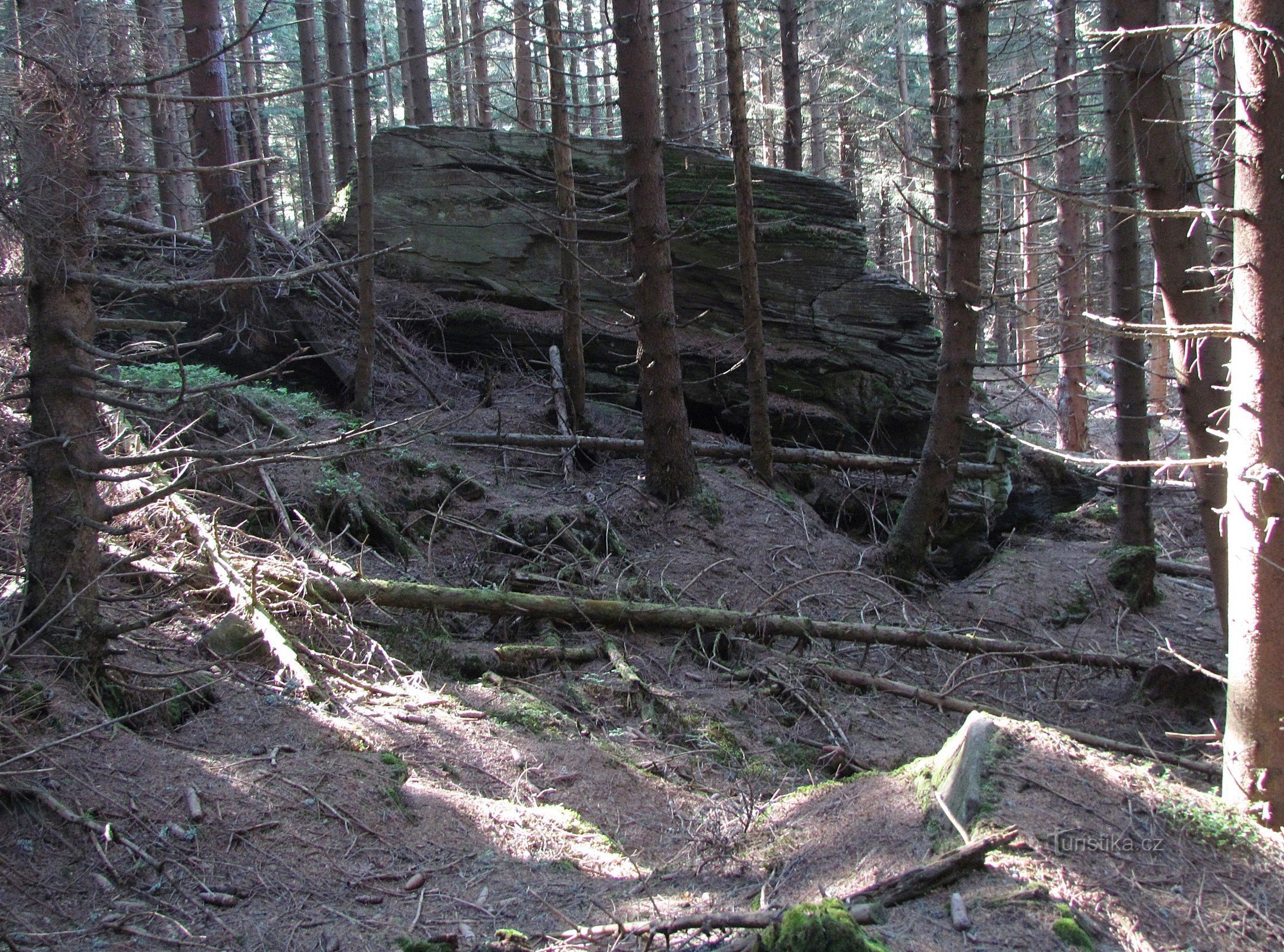 Rocky saddle between Žárovy vrch and Plošina