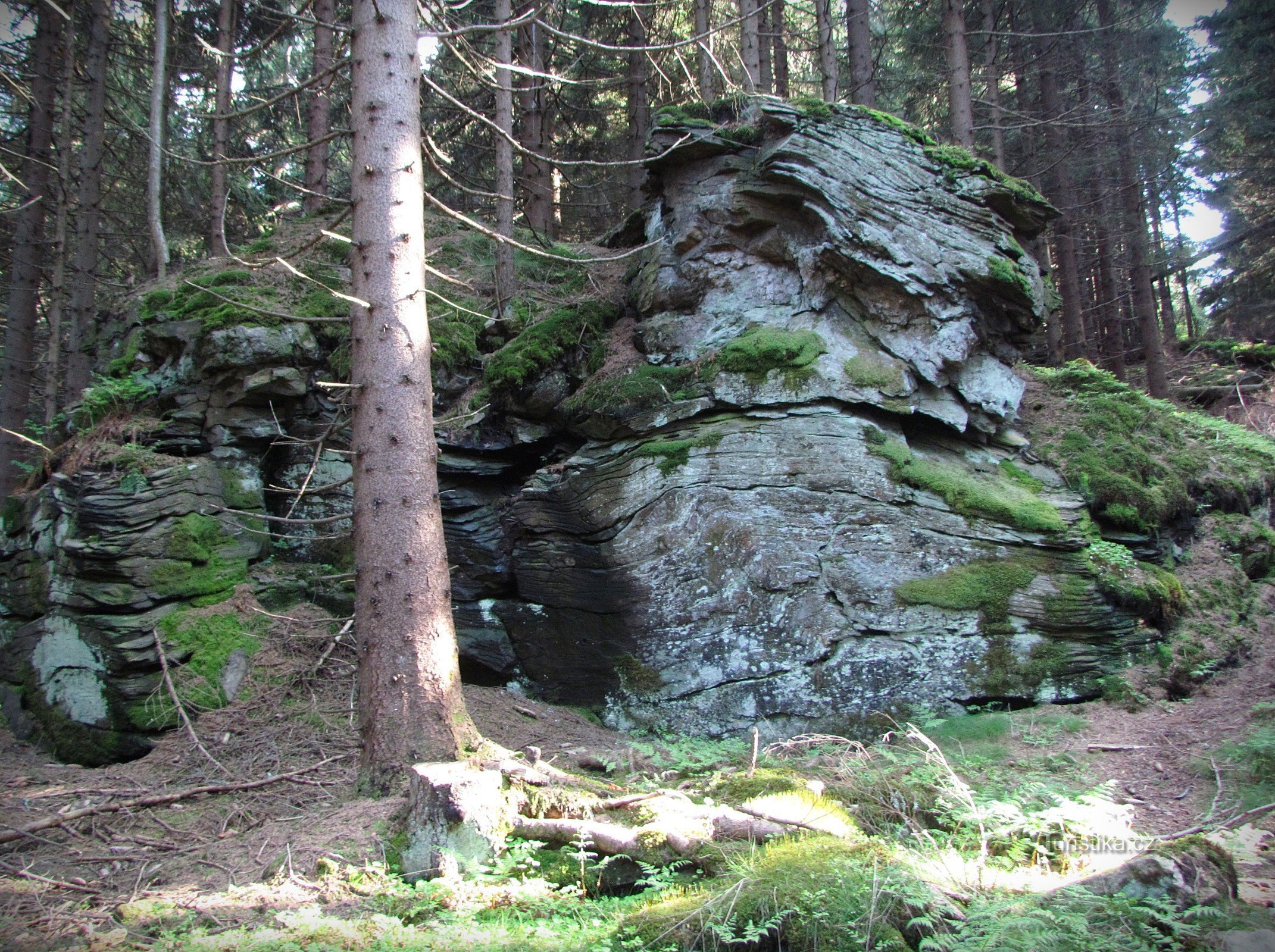 Stenig sadel mellan Žárovy vrch och Plošina