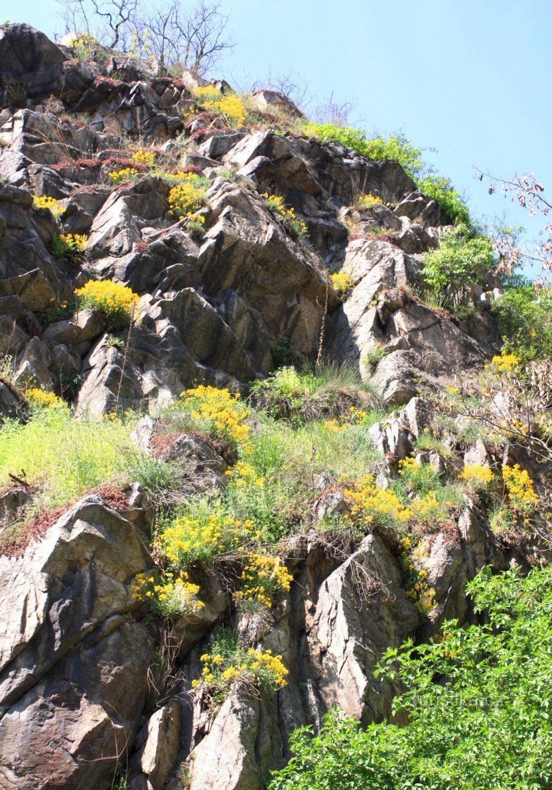 Laderas rocosas de Tasovice con afloramientos rocosos