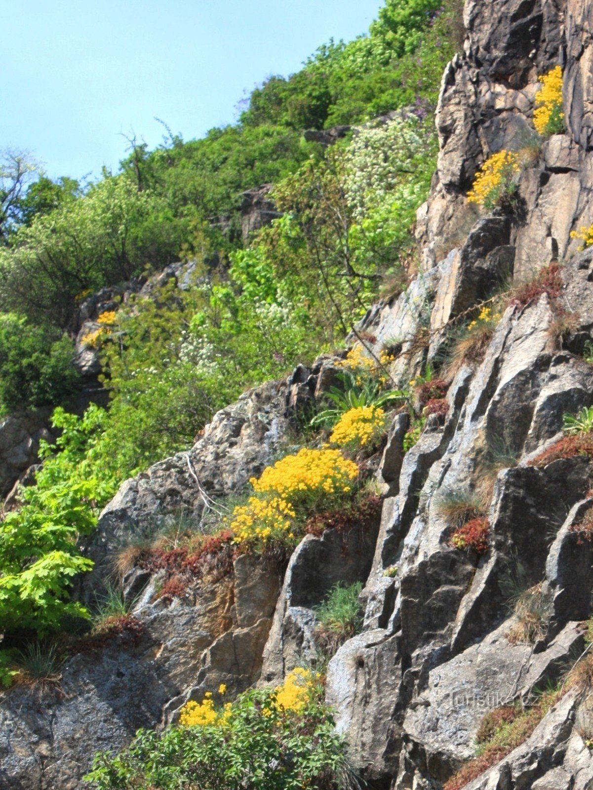 Pentes rocheuses de Tasovice avec affleurements rocheux