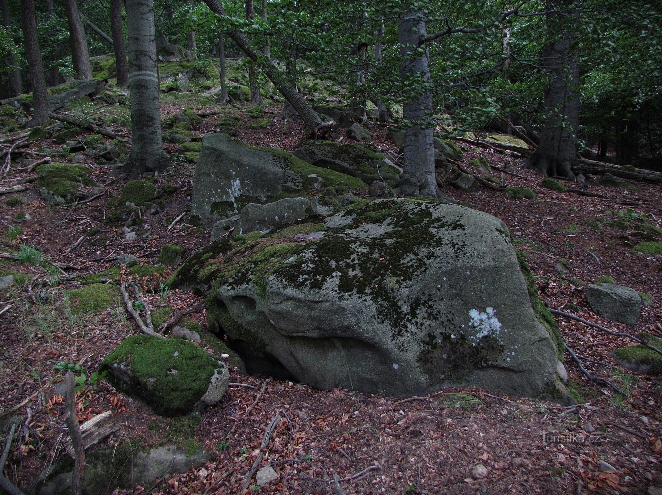 kallioinen harju huipulle