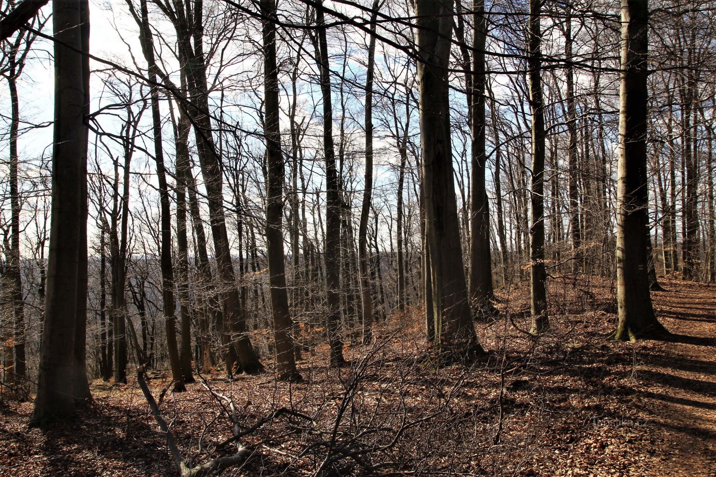 Rocky ridge above Střelčím