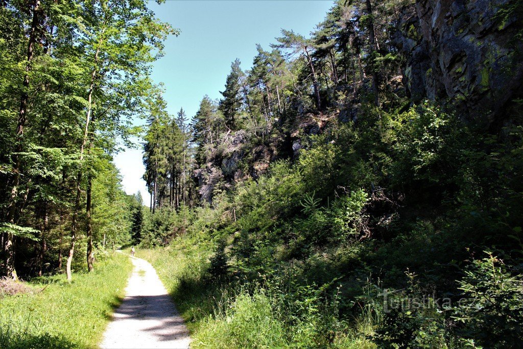 Kamnito pobočje Borka