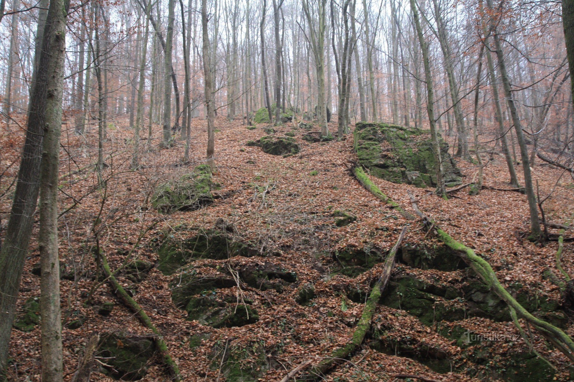 Naturreservat med stenet skråning