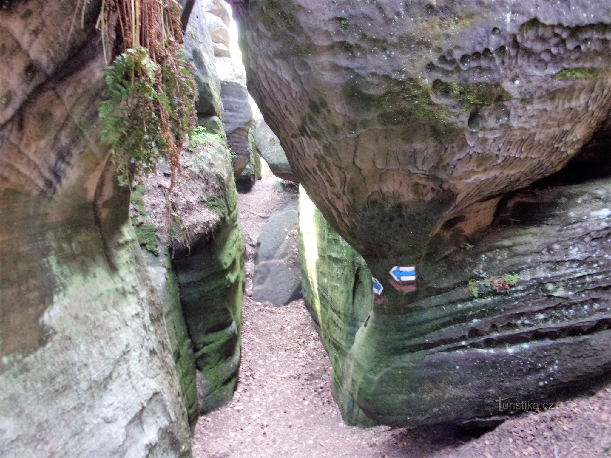 rock maze Kalich - Bohemian Paradise