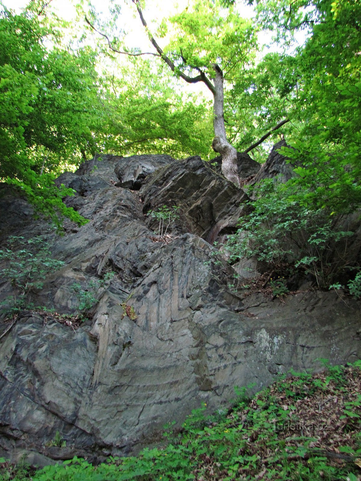 Rock defile in de buurt van Podhoří