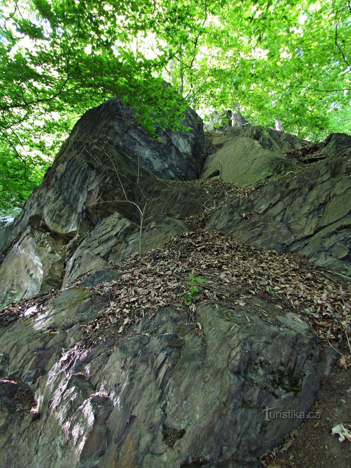 Podhoří附近的岩石污染