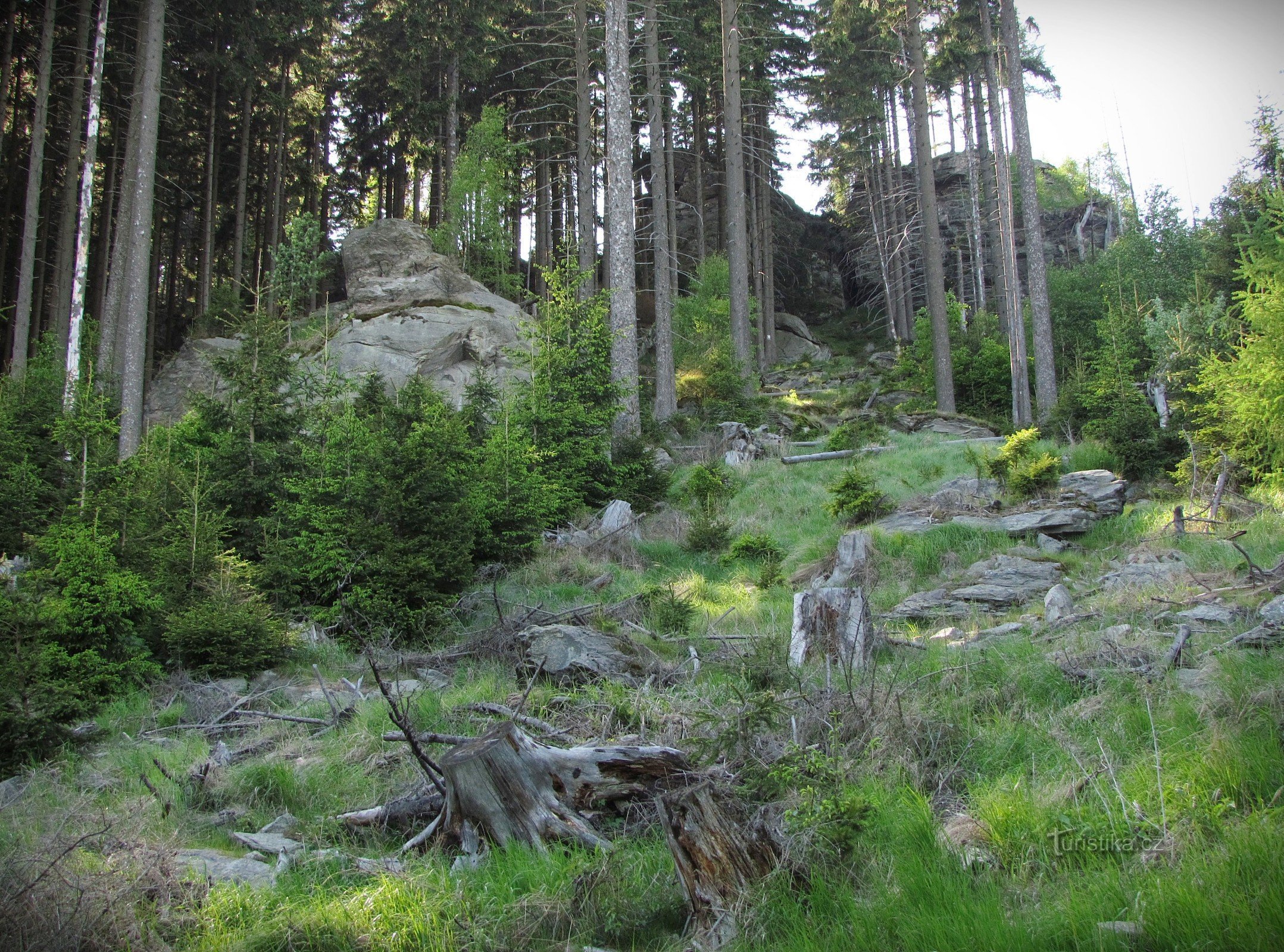 En klippvägg under den sydöstra toppen av Žárové vrch