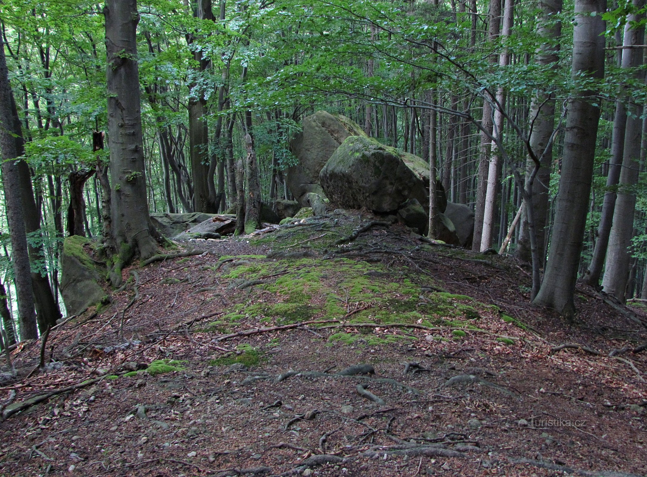 Jazévek rock walls