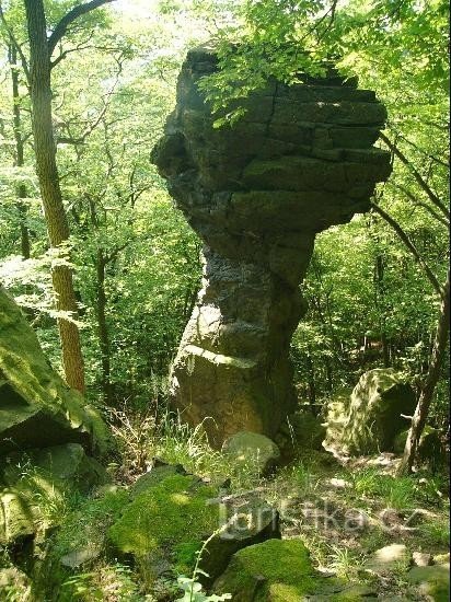 Rock mushroom