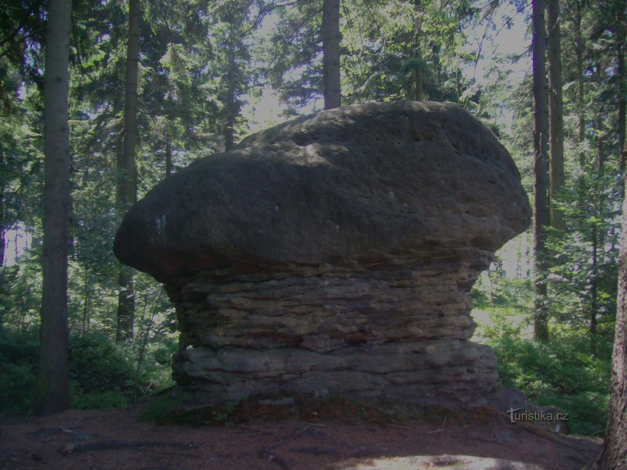 rock mushroom