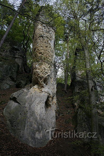 Cidade rochosa perto de Střezivojice