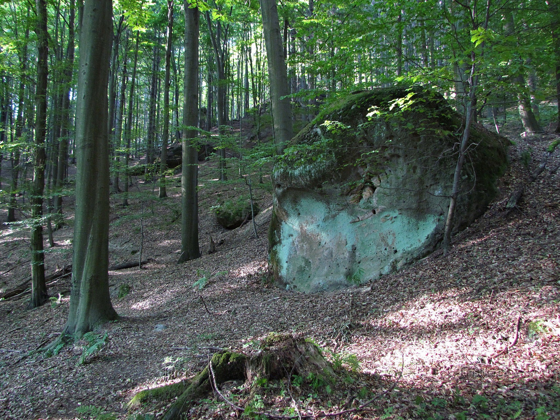 Kameni grad Wolf Pits