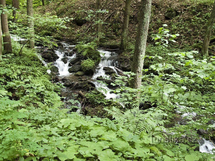 Felsensiedlung bei Vlaský