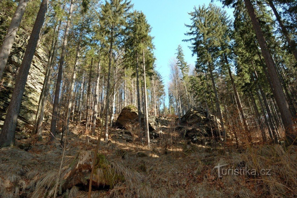 Rocky stream